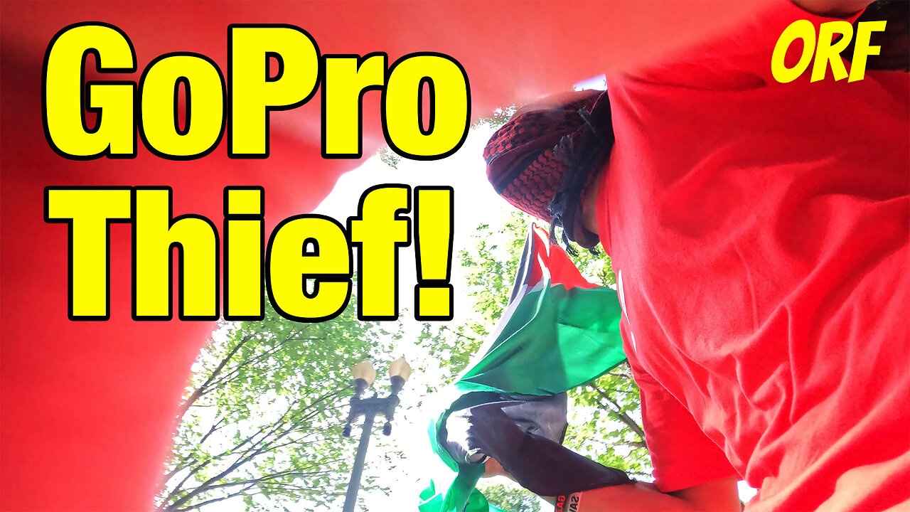 GoPro Thief (Red Line Protest outside White House, 6/8/24)