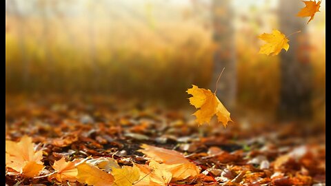 "The Autumn Leaves" Isaiah 64:6