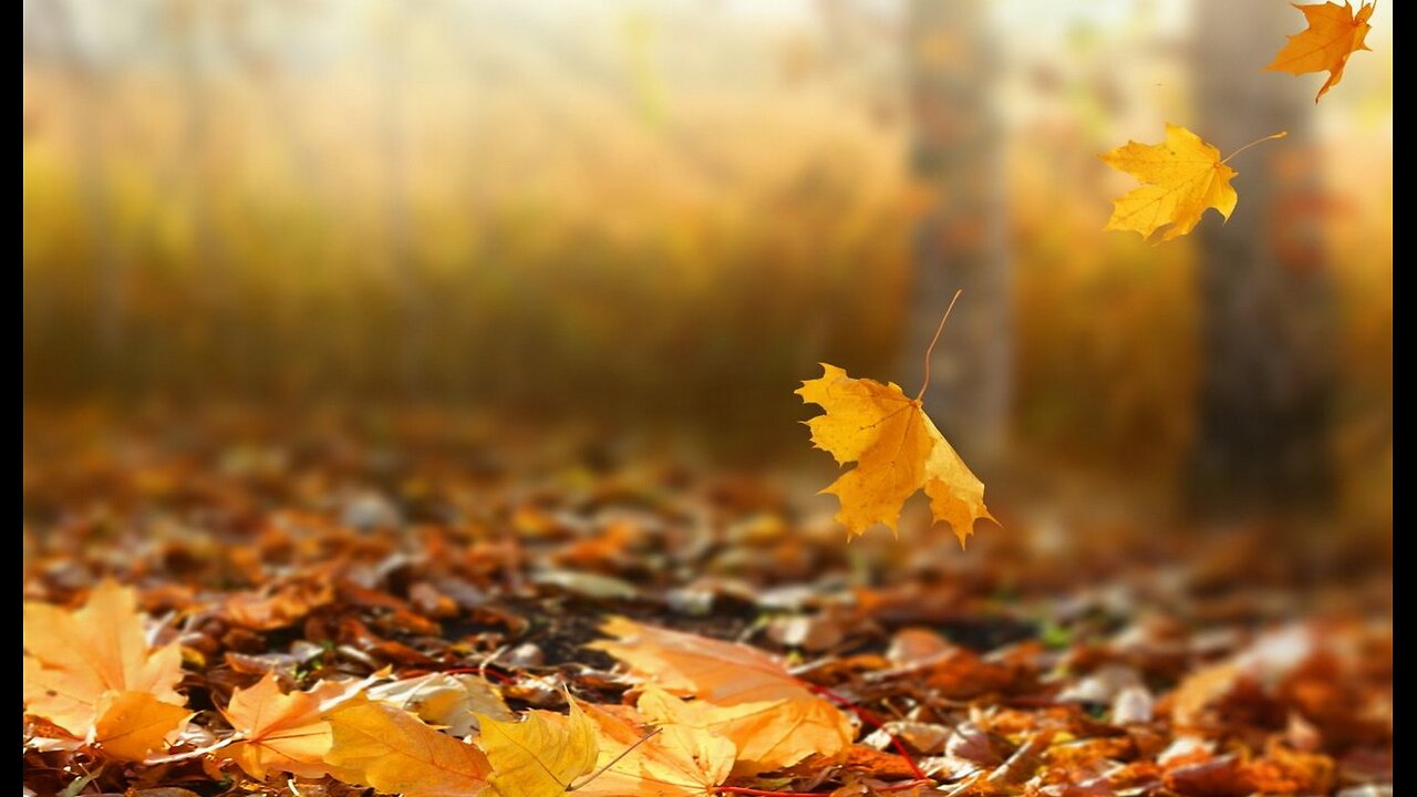 "The Autumn Leaves" Isaiah 64:6