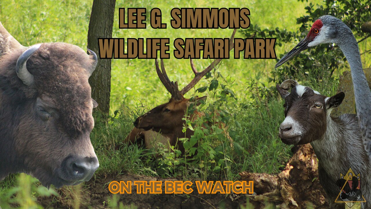 BEC Watch Entries: #28 Lee G. Simmons Wildlife Safari Park