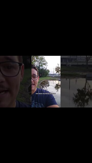 Alligators can be ANYWHERE