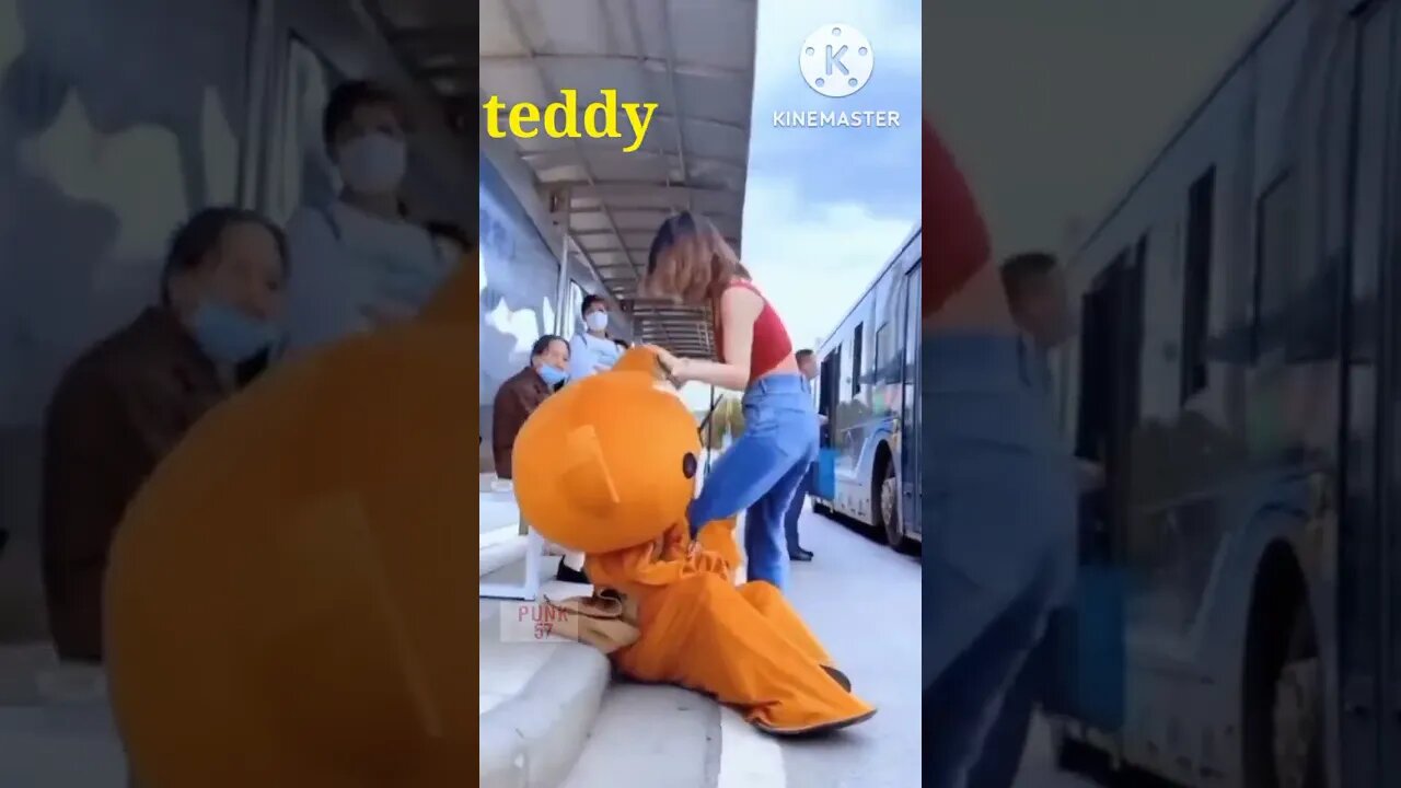 Funny Teddy 😺😺 #shorts #video #viral #short #teddy