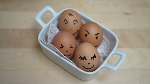 Happy eggs family