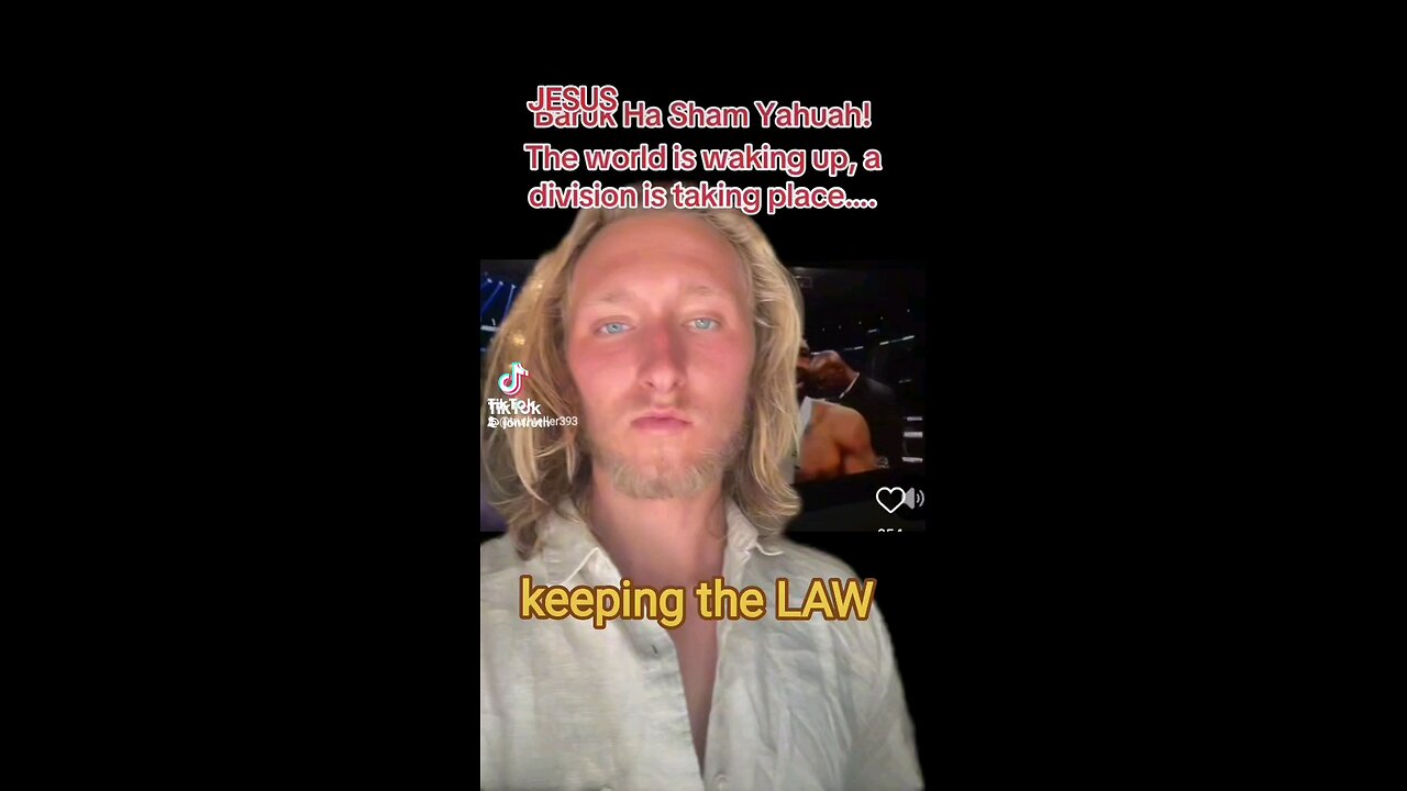 the LAW