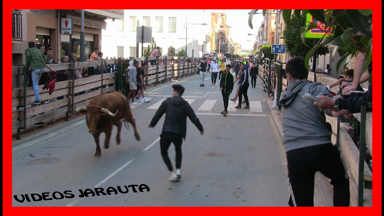 RINCÓN DE SOTO ( LA RIOJA ) TARDE VACAS EN CALLE ( LUNES 25 ABRIL 2022 ) GNAD.ARRIAZU