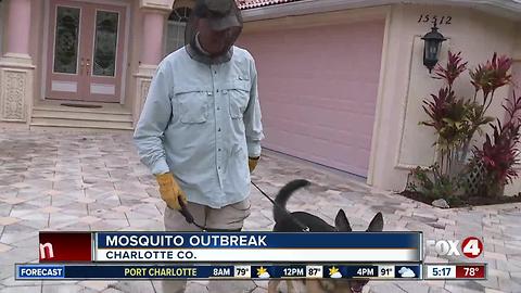 Mosquitoes continue to plague Charlotte County