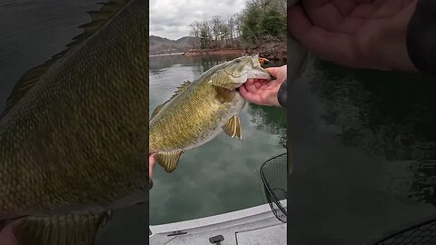 I Drove 3 HOURS for THIS Fish