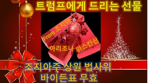 조지아주부터 바이든 선거인단표 무효처리 시작! (28회)