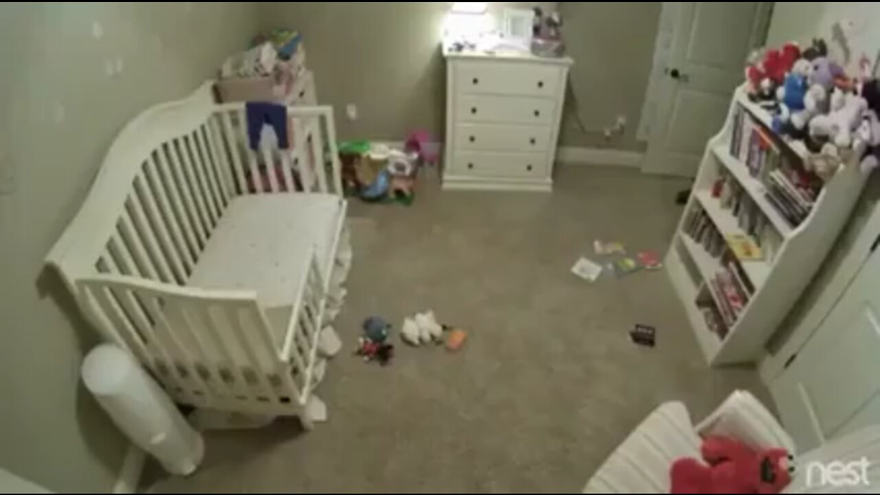 Dog crawling across the floor into forbidden room