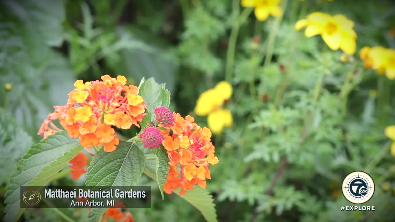 Matthaei Botanical Gardens