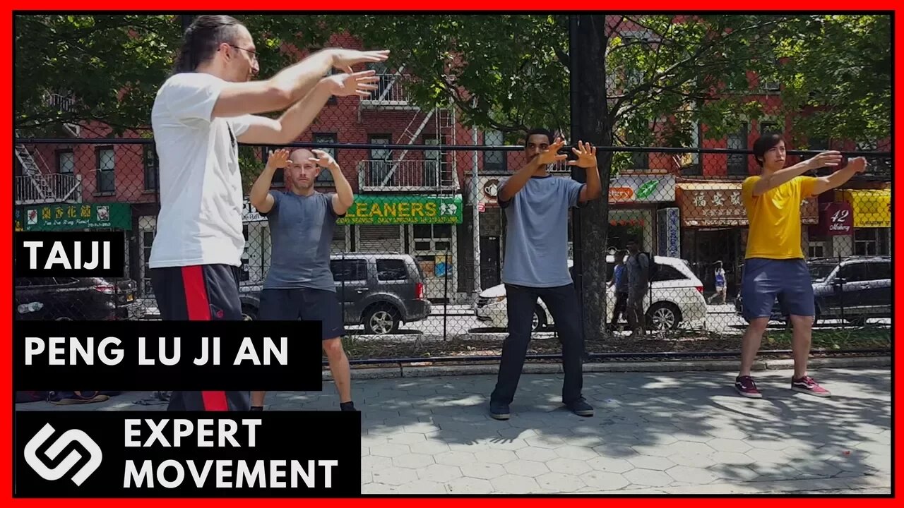 Peng Lu ji An ☯ Elbow Allignment ☯ Modern Combat Taiji Chuan