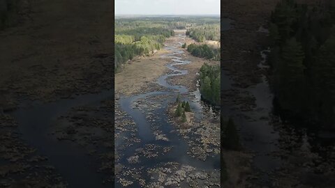 Ontario Wilderness Crown Land Drone Flight #shorts #shortsvideo #short #shortvideo