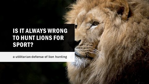 Ban on Lion Hunting is Bad for Lions