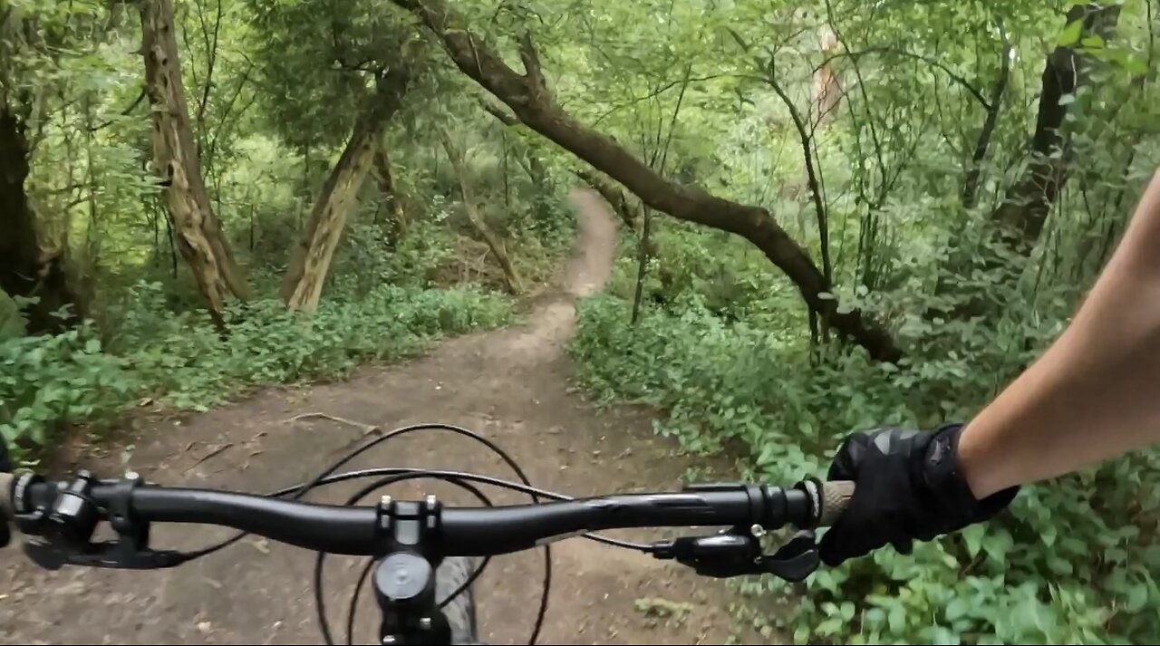 Little Rip Through The Woods