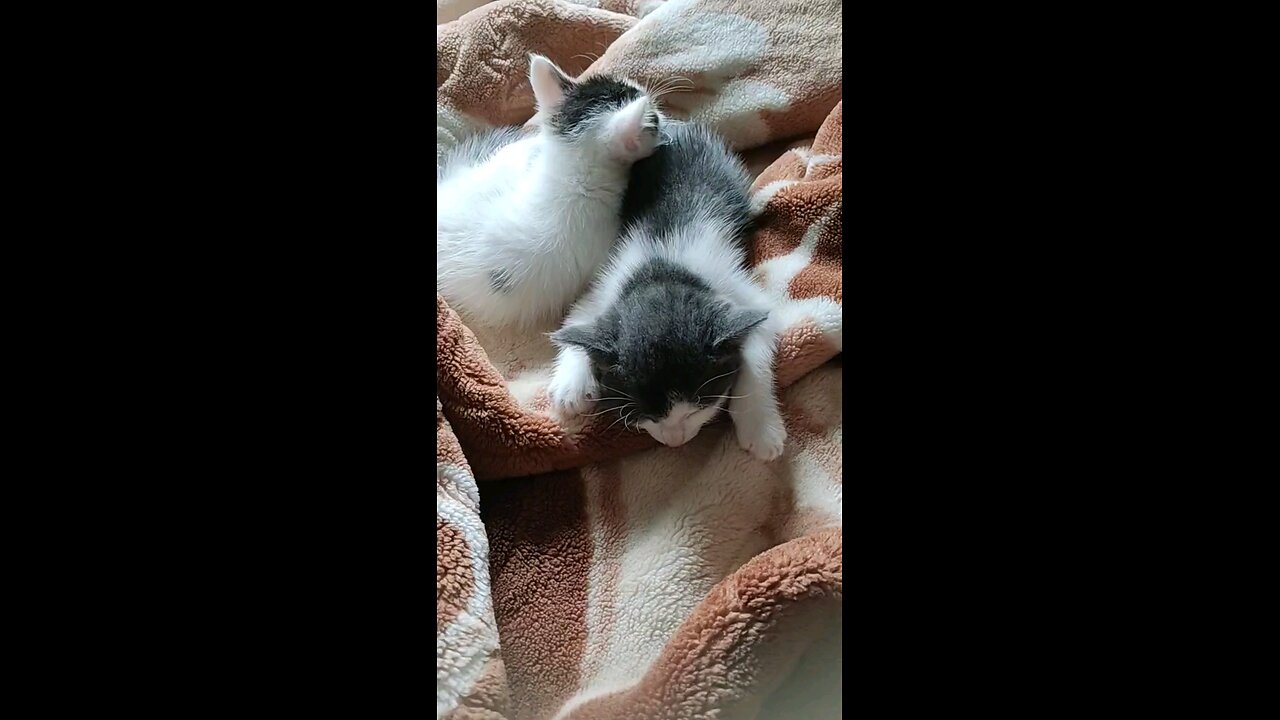 completely sleep