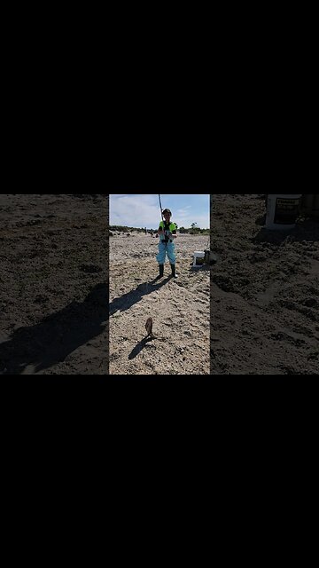 Big Bs first Sea Robin today.