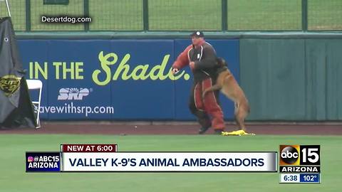 Valley K-9 wins top dog award just days after photo with handler went viral