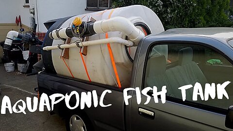 Aquaponic system Renovation part 12 (giant 500 gallon conical fish tank)