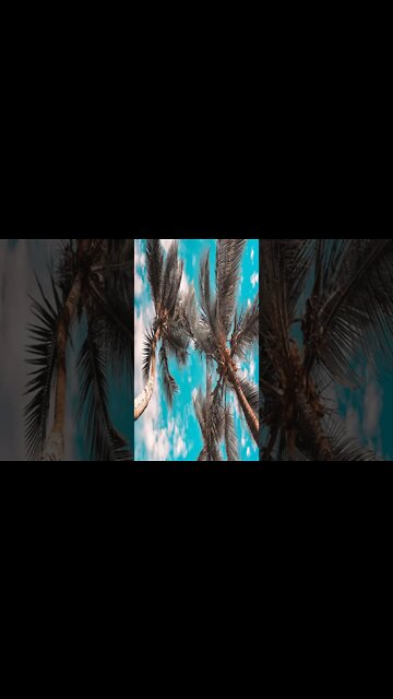 the little things you give to me Barradeen #shorts #shortvideo #shortsvideo #music #calm