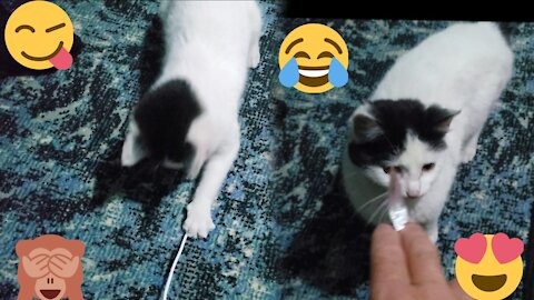 Little cat play with charger🥰