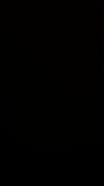 Obama in the basement