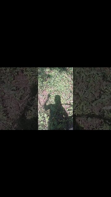 can't be stopped. #shorts