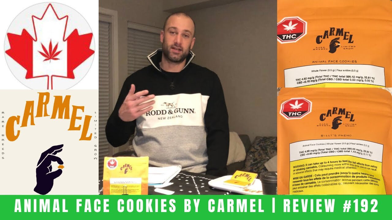 ANIMAL FACE COOKIES by Carmel | Review #192