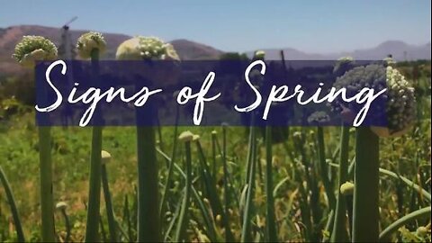 Mollie Engelhart - Baby Animals!