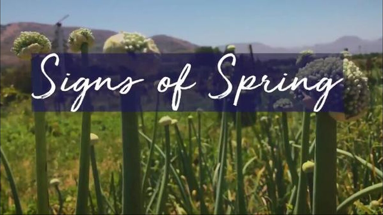 Mollie Engelhart - Baby Animals!