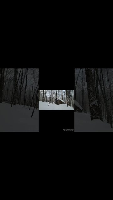 #trailer #ytshortsvideo #bitchute #releasedate