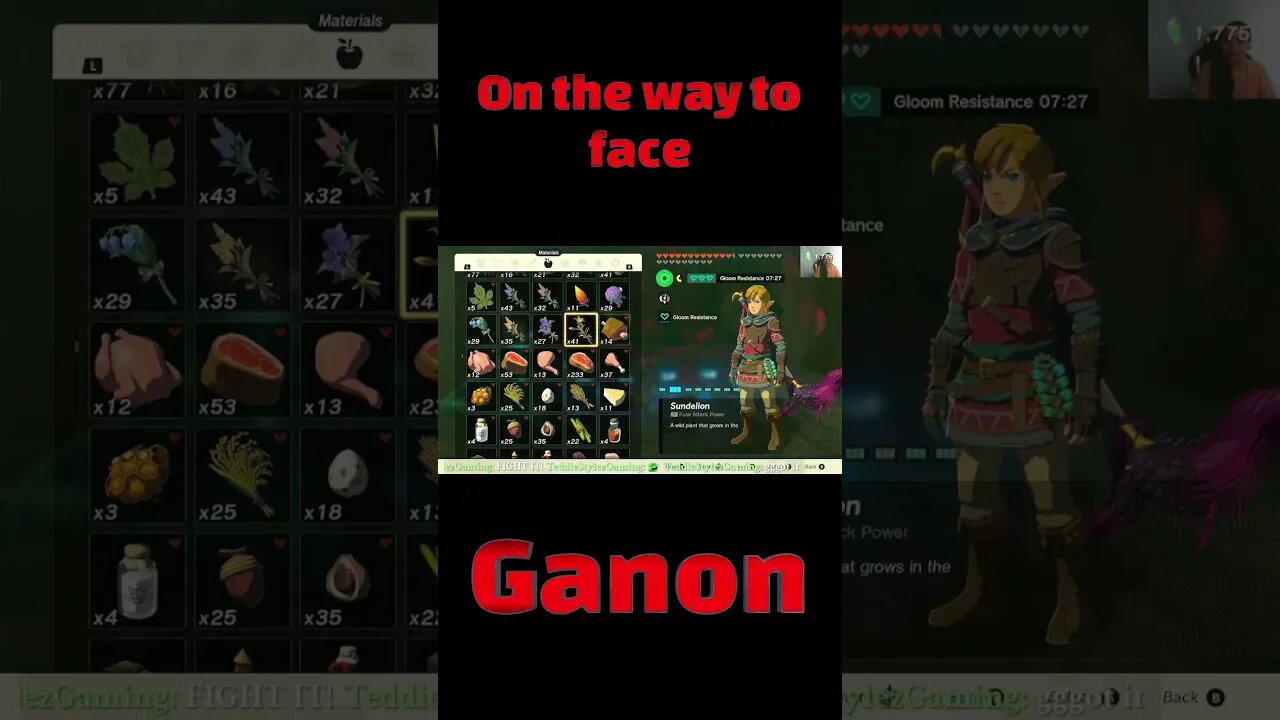 On the way to Ganondorf highlight