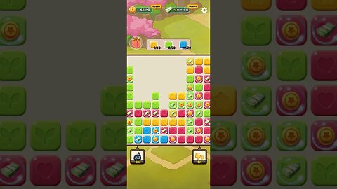 POP VALLEY BIG DOLLAR 💵