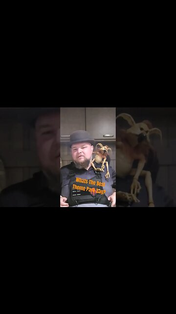 What Is The Best Theme Park Bag? Comment your go to.