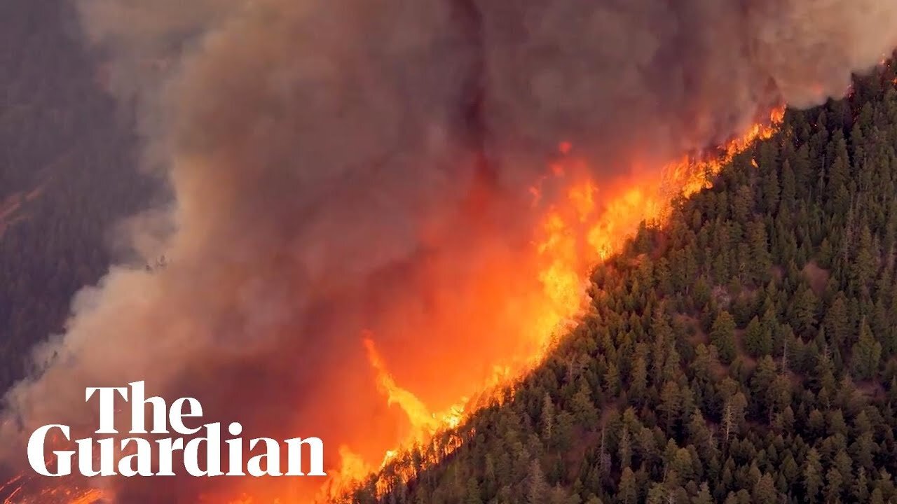 Canada wildfires: drone footage shows scale of destruction in British Columbia|News Empire ✅