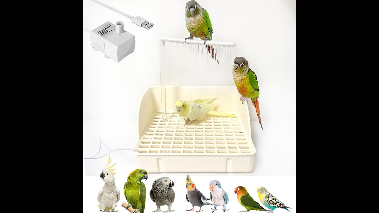 🦜 Automatic Bird Bath w/ Pump – Spacious, Safe & Silent 🚿🐦