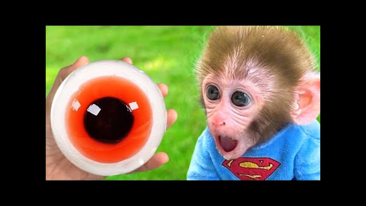 Monkey Baby Bon Bon eats Eyeballs Jelly with puppy and playing with duckling