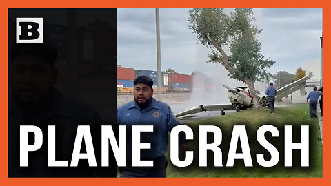 Plane Crashes Into Tree, Sets Off Geyser of Water After Hitting Fire Hydrant