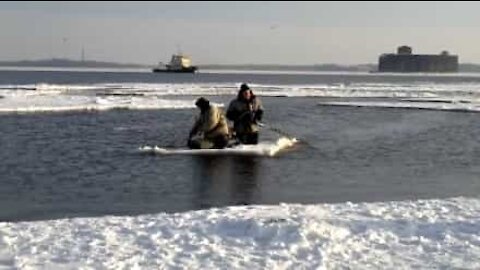 Fishermen on ice sheet row their way back to shore