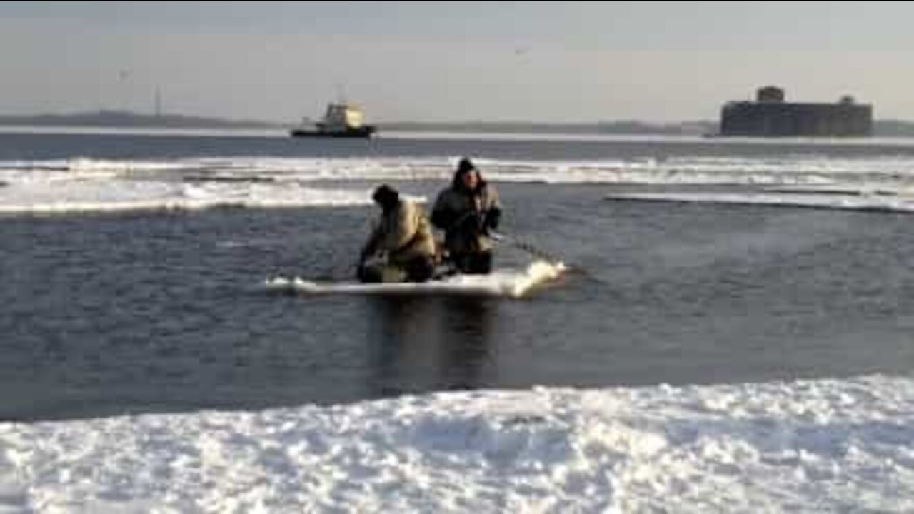 Fishermen on ice sheet row their way back to shore