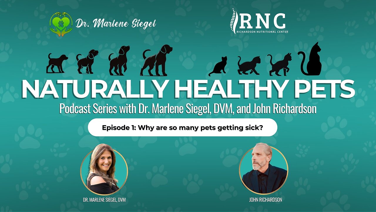 Naturally Healthy Pets - Episode 1: Why Are So Many Pets Getting Sick?