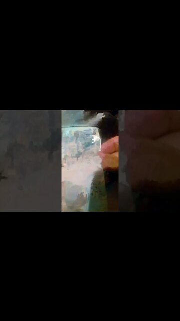 a nota de 100 #shorts