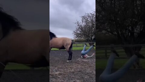 Monday Mornings Be Like A Kick In The Head