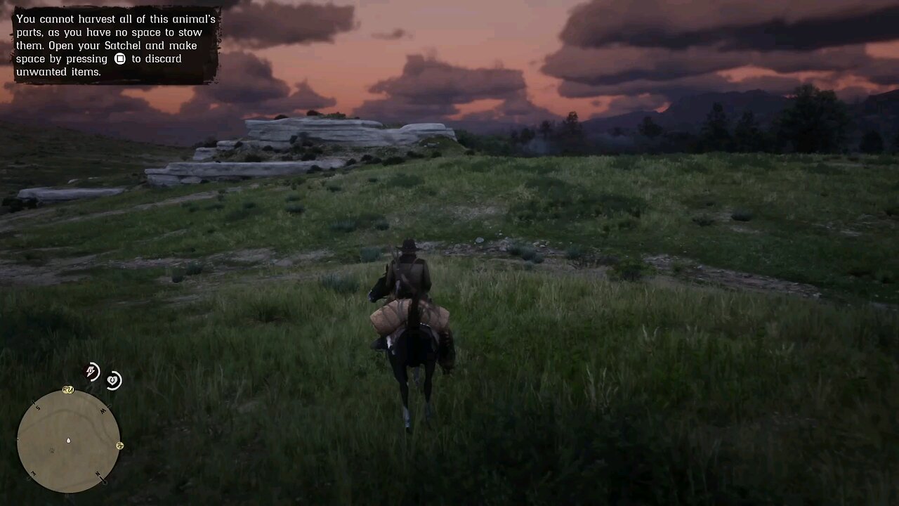 Hunting 21 - Red Dead Redemption 2