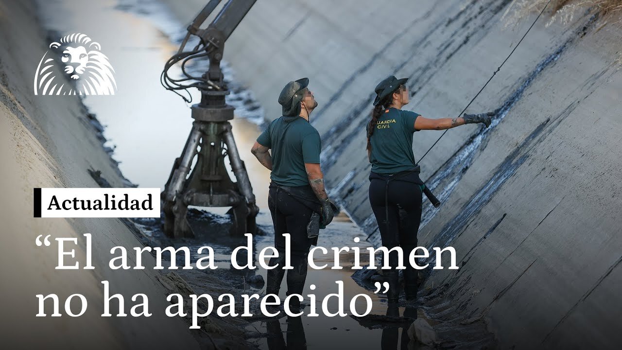 Delegada del gobierno en CLM: "El arma del crimen no ha aparecido"