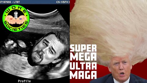 Ultra Maga Is Born, Disinformation War, 2000 Mules