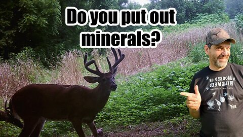 Dan Infalt's thoughts on minerals