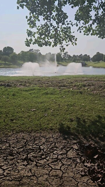 My Peaceful Place - Tipping Pizza Delivery Drivers