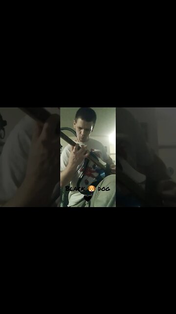 Black🖤Dog🐶 #blackdog #music #musician #guitarist #guitarplayer #playingguitar #guitar #shorts