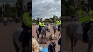 Grey met police horses Buckingham Palace #metpolice