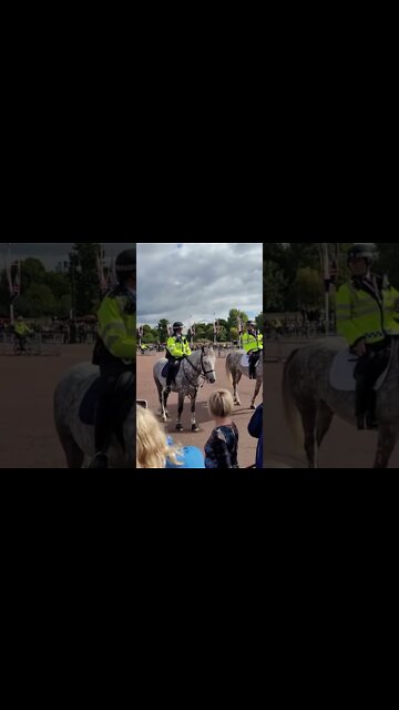 Grey met police horses Buckingham Palace #metpolice